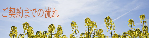 建築調査、お見積り、ヒアリング、ご契約の流れをご案内